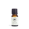 Clove Bud Pure Essential Oil