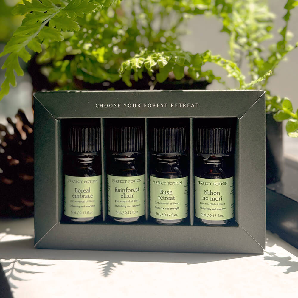 Forest Bathing Around the World Essential Oil Blends Kit