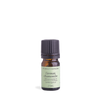 Chamomile, German Pure Essential Oil