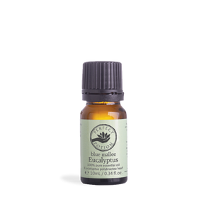 Eucalyptus B.Mallee Pure Essential Oil