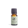 Hinoki Wood Pure Essential Oil