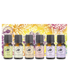 Lifestyle Essential Oil Blends Kit